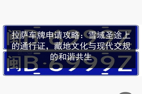 拉萨车牌申请攻略：雪域圣途上的通行证，藏地文化与现代交规的和谐共生 第2张