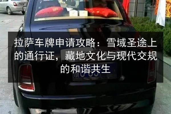 拉萨车牌申请攻略：雪域圣途上的通行证，藏地文化与现代交规的和谐共生 第3张