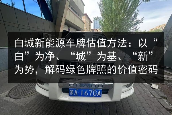 白城新能源车牌估值方法:以“白”为净、“城”为基、“新”为势,解码绿色牌照的价值密码 第3张 白城新能源车牌估值方法:以“白”为净、“城”为基、“新”为势,解码绿色牌照的价值密码 第3张