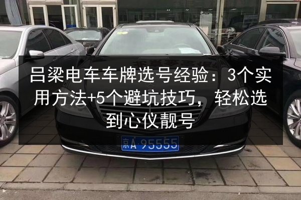 吕梁电车车牌选号经验:3个实用方法+5个避坑技巧,轻松选到心仪靓号 第2张 吕梁电车车牌选号经验:3个实用方法+5个避坑技巧,轻松选到心仪靓号 第2张