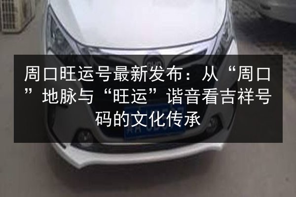 周口旺运号最新发布：从“周口”地脉与“旺运”谐音看吉祥号码的文化传承 第3张