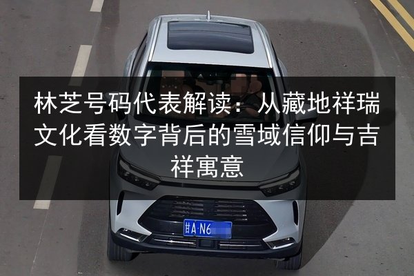 林芝号码代表解读：从藏地祥瑞文化看数字背后的雪域信仰与吉祥寓意
