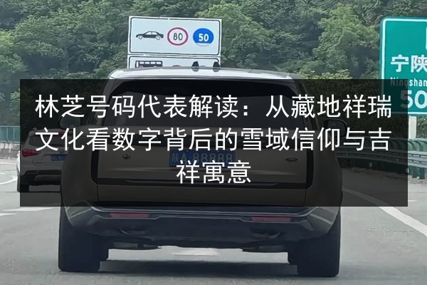 林芝号码代表解读：从藏地祥瑞文化看数字背后的雪域信仰与吉祥寓意 第3张