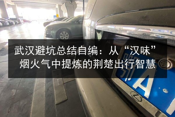武汉避坑总结自编:从“汉味”烟火气中提炼的荆楚出行智慧 第2张 武汉避坑总结自编:从“汉味”烟火气中提炼的荆楚出行智慧 第2张