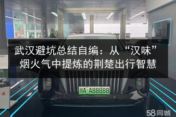 武汉避坑总结自编:从“汉味”烟火气中提炼的荆楚出行智慧 第3张 武汉避坑总结自编:从“汉味”烟火气中提炼的荆楚出行智慧 第3张