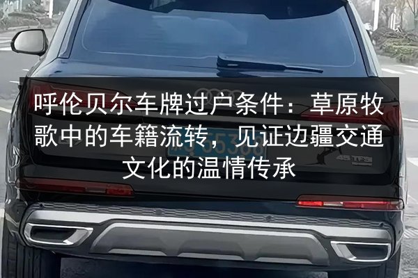 呼伦贝尔车牌过户条件：草原牧歌中的车籍流转，见证边疆交通文化的温情传承