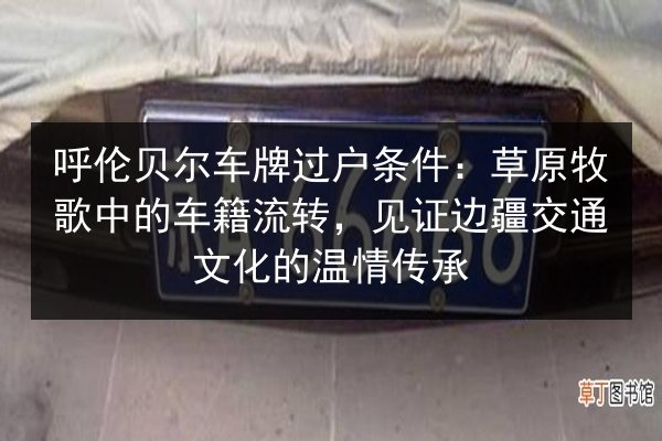 呼伦贝尔车牌过户条件:草原牧歌中的车籍流转,见证边疆交通文化的温情传承 第2张 呼伦贝尔车牌过户条件:草原牧歌中的车籍流转,见证边疆交通文化的温情传承 第2张