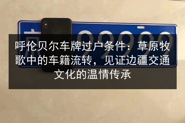 呼伦贝尔车牌过户条件:草原牧歌中的车籍流转,见证边疆交通文化的温情传承 第3张 呼伦贝尔车牌过户条件:草原牧歌中的车籍流转,见证边疆交通文化的温情传承 第3张