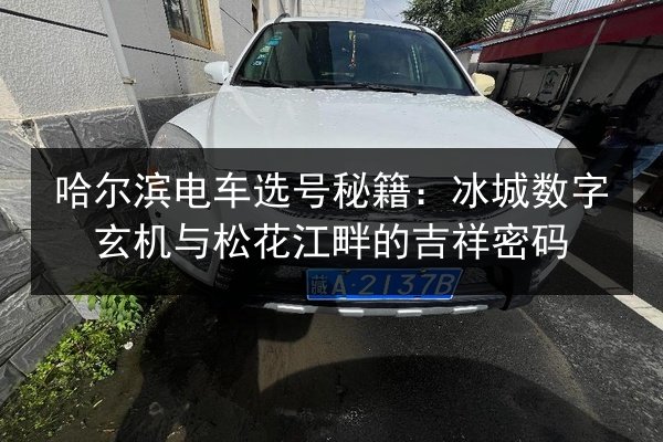 哈尔滨电车选号秘籍:冰城数字玄机与松花江畔的吉祥密码 第3张 哈尔滨电车选号秘籍:冰城数字玄机与松花江畔的吉祥密码 第3张