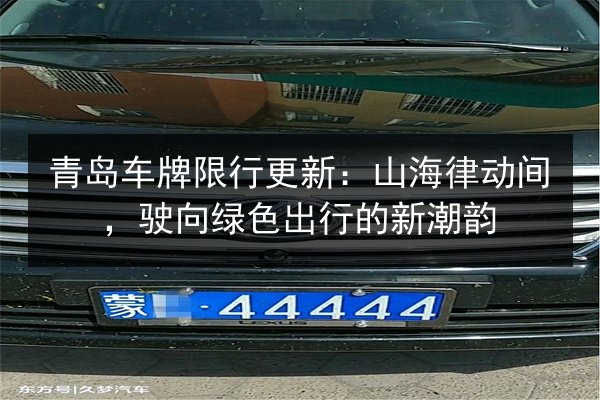 青岛车牌限行更新：山海律动间，驶向绿色出行的新潮韵 第2张