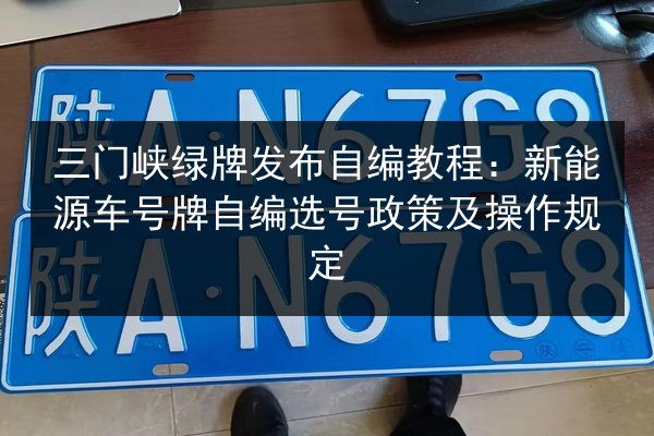 三门峡绿牌发布自编教程:新能源车号牌自编选号政策及操作规定 第2张 三门峡绿牌发布自编教程:新能源车号牌自编选号政策及操作规定 第2张