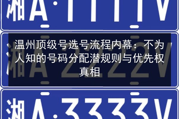 温州顶级号选号流程内幕:不为人知的号码分配潜规则与优先权真相 第1张 温州顶级号选号流程内幕:不为人知的号码分配潜规则与优先权真相 第1张