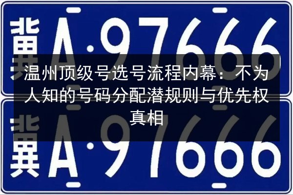 温州顶级号选号流程内幕:不为人知的号码分配潜规则与优先权真相 第2张 温州顶级号选号流程内幕:不为人知的号码分配潜规则与优先权真相 第2张
