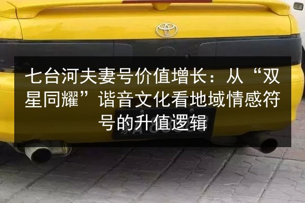 七台河夫妻号价值增长：从“双星同耀”谐音文化看地域情感符号的升值逻辑 第1张