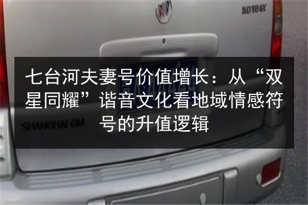 七台河夫妻号价值增长：从“双星同耀”谐音文化看地域情感符号的升值逻辑 第2张