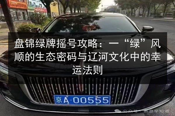 盘锦绿牌摇号攻略：一“绿”风顺的生态密码与辽河文化中的幸运法则 第1张