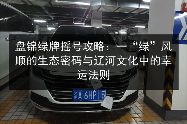 盘锦绿牌摇号攻略：一“绿”风顺的生态密码与辽河文化中的幸运法则 第3张