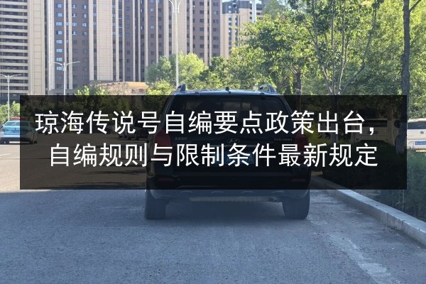 琼海传说号自编要点政策出台，自编规则与限制条件最新规定