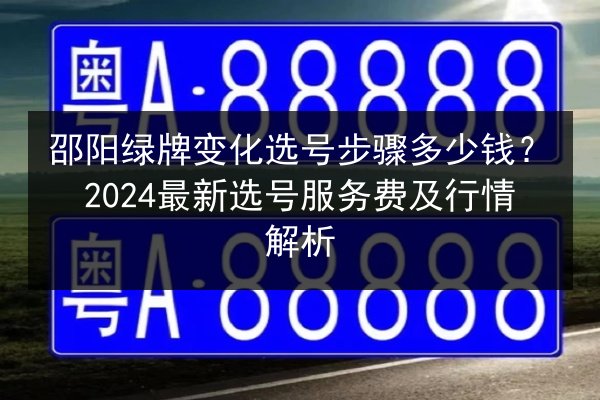 邵阳绿牌变化选号步骤多少钱？2024最新选号服务费及行情解析