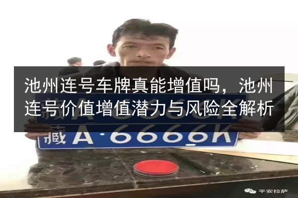 池州连号车牌真能增值吗,池州连号价值增值潜力与风险全解析 第2张 池州连号车牌真能增值吗,池州连号价值增值潜力与风险全解析 第2张
