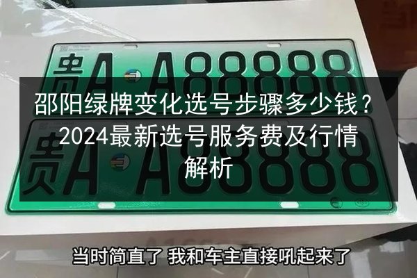 邵阳绿牌变化选号步骤多少钱?2024最新选号服务费及行情解析 第3张 邵阳绿牌变化选号步骤多少钱?2024最新选号服务费及行情解析 第3张