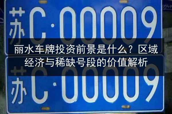 丽水车牌投资前景是什么？区域经济与稀缺号段的价值解析