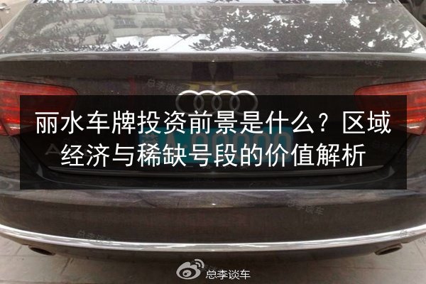 丽水车牌投资前景是什么？区域经济与稀缺号段的价值解析 第2张