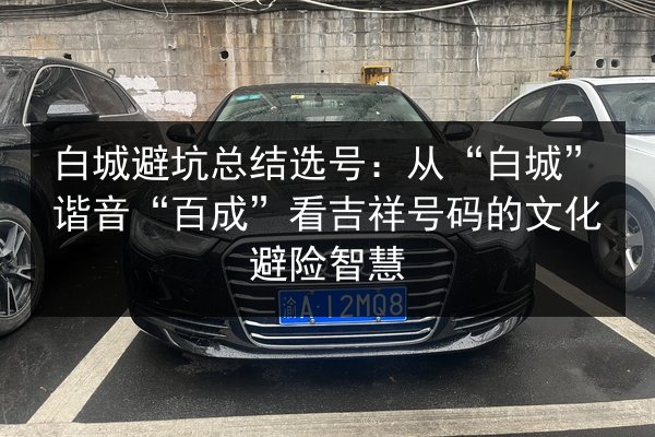 白城避坑总结选号:从“白城”谐音“百成”看吉祥号码的文化避险智慧 第3张 白城避坑总结选号:从“白城”谐音“百成”看吉祥号码的文化避险智慧 第3张