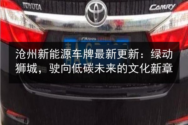 沧州新能源车牌最新更新:绿动狮城,驶向低碳未来的文化新章 第1张 沧州新能源车牌最新更新:绿动狮城,驶向低碳未来的文化新章 第1张