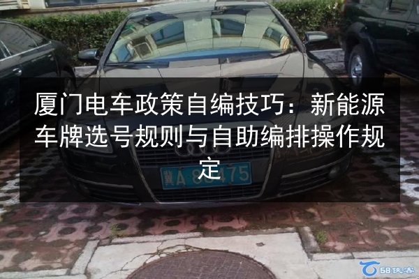 厦门电车政策自编技巧：新能源车牌选号规则与自助编排操作规定 第2张