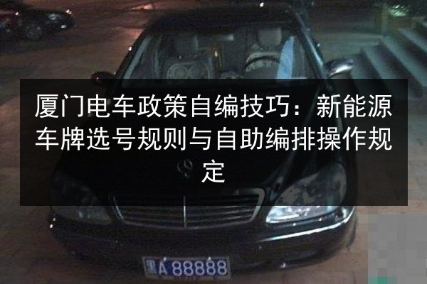 厦门电车政策自编技巧：新能源车牌选号规则与自助编排操作规定 第3张