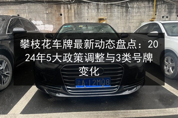 攀枝花车牌最新动态盘点:2024年5大政策调整与3类号牌变化 第2张 攀枝花车牌最新动态盘点:2024年5大政策调整与3类号牌变化 第2张