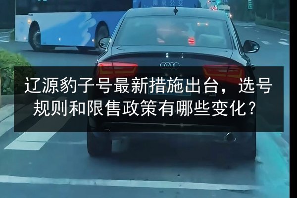 辽源豹子号最新措施出台，选号规则和限售政策有哪些变化？ 第3张