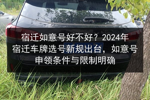 宿迁如意号好不好?2024年宿迁车牌选号新规出台,如意号申领条件与限制明确 第2张 宿迁如意号好不好?2024年宿迁车牌选号新规出台,如意号申领条件与限制明确 第2张
