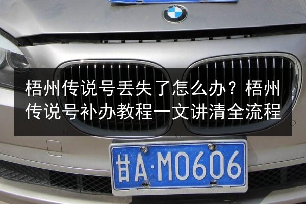 梧州传说号丢失了怎么办？梧州传说号补办教程一文讲清全流程
