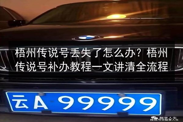 梧州传说号丢失了怎么办?梧州传说号补办教程一文讲清全流程 第2张 梧州传说号丢失了怎么办?梧州传说号补办教程一文讲清全流程 第2张
