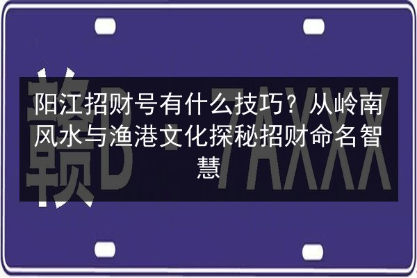 阳江招财号有什么技巧？从岭南风水与渔港文化探秘招财命名智慧 第2张