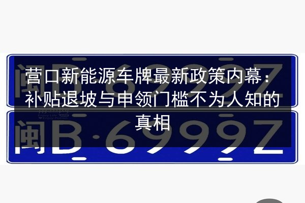 营口新能源车牌最新政策内幕:补贴退坡与申领门槛不为人知的真相 第3张 营口新能源车牌最新政策内幕:补贴退坡与申领门槛不为人知的真相 第3张