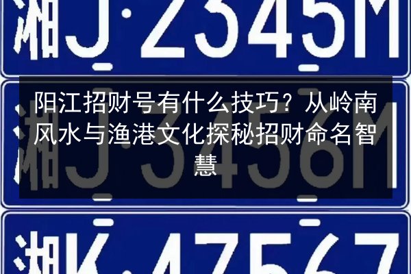 阳江招财号有什么技巧？从岭南风水与渔港文化探秘招财命名智慧 第3张