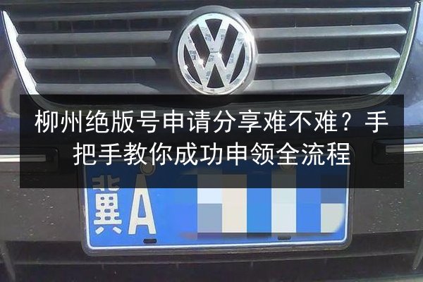 柳州绝版号申请分享难不难?手把手教你成功申领全流程 第2张 柳州绝版号申请分享难不难?手把手教你成功申领全流程 第2张