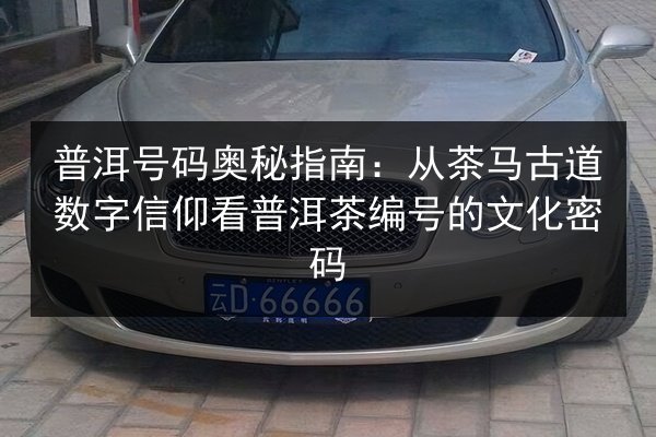 普洱号码奥秘指南：从茶马古道数字信仰看普洱茶编号的文化密码 第1张
