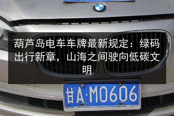 葫芦岛电车车牌最新规定：绿码出行新章，山海之间驶向低碳文明 第2张