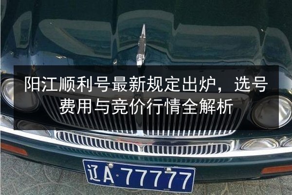 阳江顺利号最新规定出炉，选号费用与竞价行情全解析