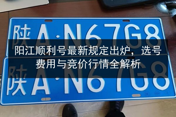 阳江顺利号最新规定出炉,选号费用与竞价行情全解析 第2张 阳江顺利号最新规定出炉,选号费用与竞价行情全解析 第2张