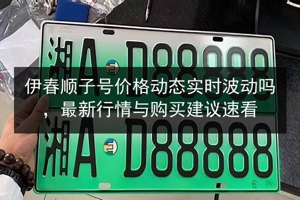伊春顺子号价格动态实时波动吗，最新行情与购买建议速看