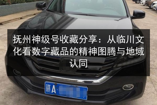 抚州神级号收藏分享：从临川文化看数字藏品的精神图腾与地域认同 第1张