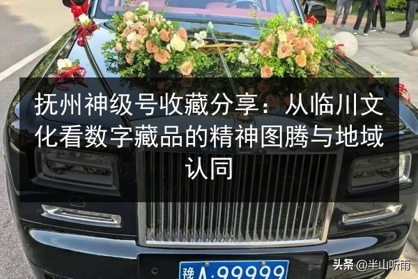抚州神级号收藏分享：从临川文化看数字藏品的精神图腾与地域认同 第2张