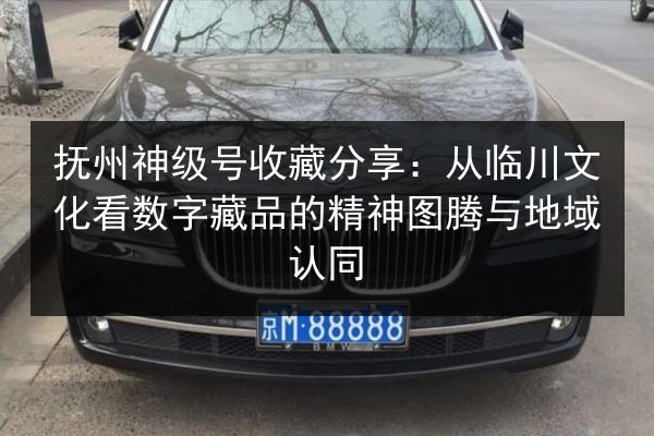 抚州神级号收藏分享：从临川文化看数字藏品的精神图腾与地域认同 第3张