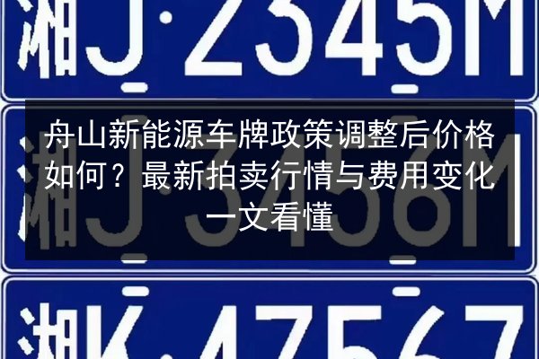 舟山新能源车牌政策调整后价格如何？最新拍卖行情与费用变化一文看懂 第2张