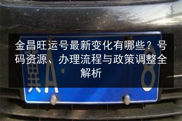 金昌旺运号最新变化有哪些？号码资源、办理流程与政策调整全解析 第1张